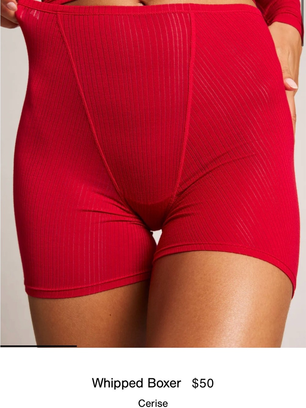 NWOT Negative Underwear Whipped Boxer in Cerise 🍒size S